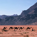 <desc>Pustynia Wadi Rum</desc>