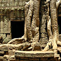 <desc>W świątyniach Angkoru</desc>