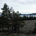 <desc>Szwecja - w Parku Narodowym Skuleskogen (wiecej: www.albumwypraw.waw.pl)</desc>