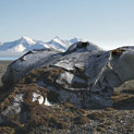 <desc>Wielorybnicy pozostawili po sobie tylko kości swoich ofiar [<link>www.arktyka.org.pl</link>]</desc>