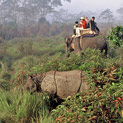 <desc>Park Narodowy Chitwan</desc>
