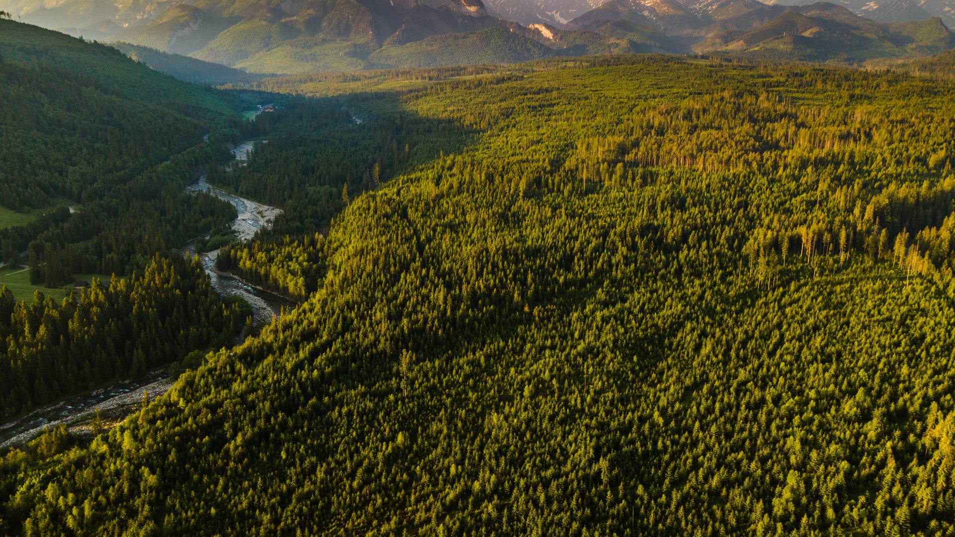 Tatry i Podtatrze. Atlas Satelitarny 1:15 000 [recenzja]