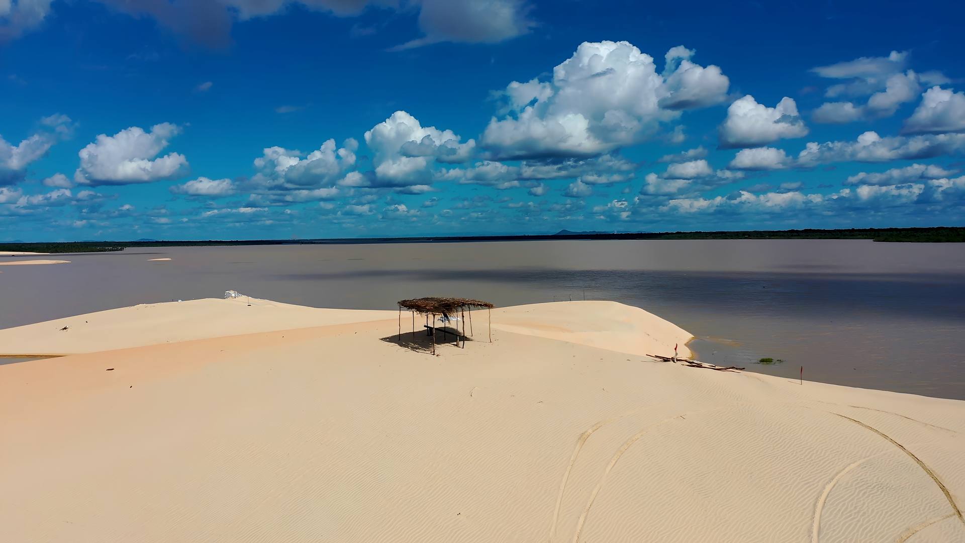 Tam gdzie na plaży rosną palmy kokosowe.