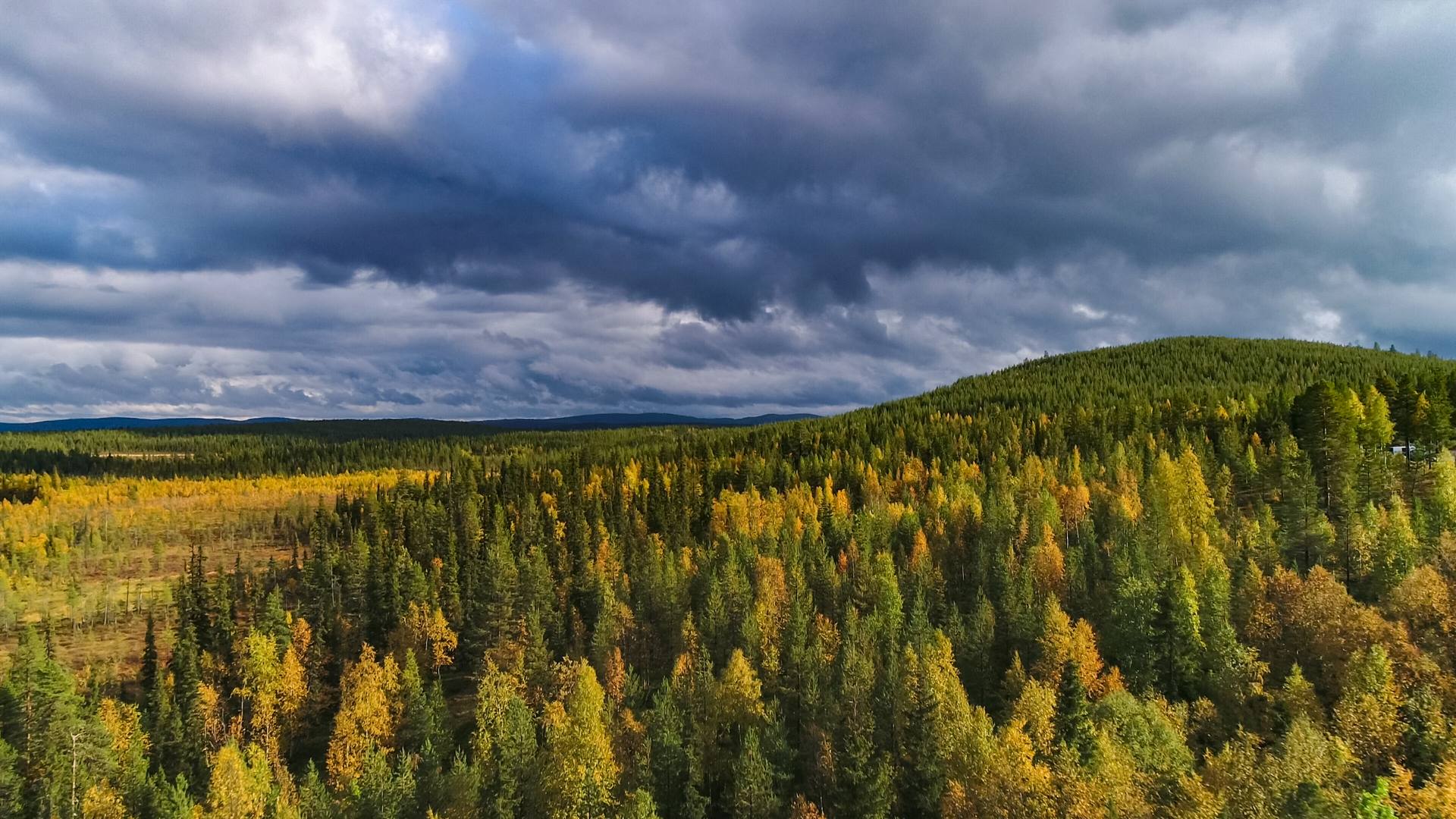 Finlandia